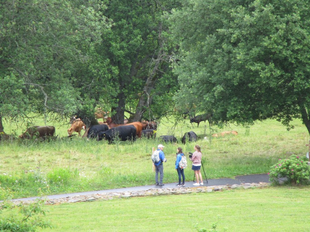 Fotos vom Seminar "Grenze - Geschichte - Begegnung"